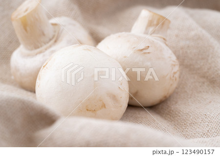 ホワイトマッシュルームのクローズアップ 123490157