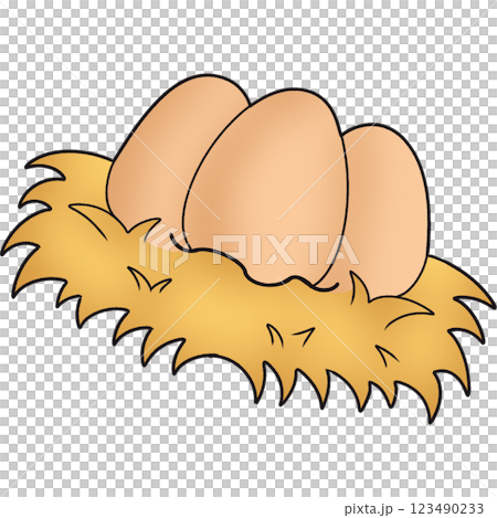 The illustration of an eggs 123490233
