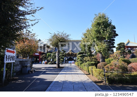栃木県佐野市の佐野厄除け大師の風景 栃木県佐野市の佐野厄除け大師の風景 123490547