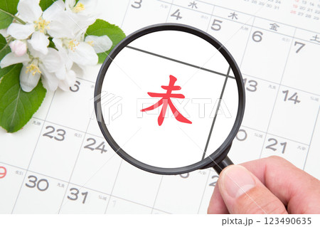 未 (ひつじ)をクローズアップ カレンダー背景 未 (ひつじ)をクローズアップ カレンダー背景 123490635