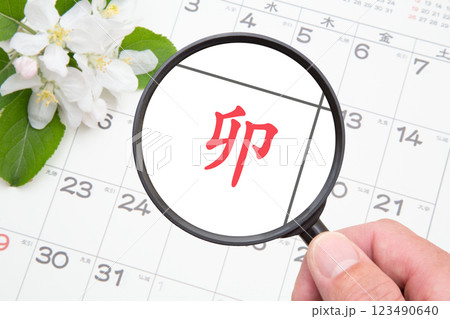 卯 （う）をクローズアップ　カレンダー背景 123490640