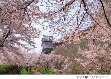 鶴山公園(岡山県津山市)津山城に咲く満開の桜<日本さくら名所100選> 鶴山公園(岡山県津山市)津山城に咲く満開の桜<日本さくら名所100選> 123490677