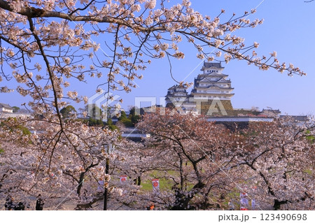 姫路城(兵庫県姫路市)満開の桜<日本100名城> 姫路城(兵庫県姫路市)満開の桜<日本100名城> 123490698