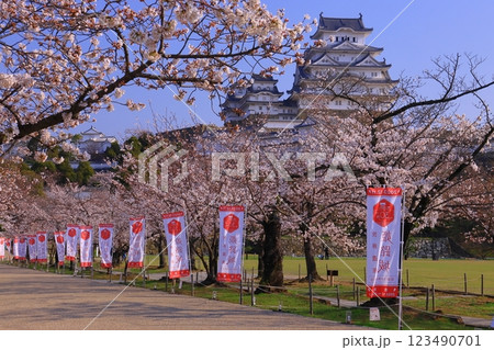 姫路城(兵庫県姫路市)満開の桜<日本100名城> 姫路城(兵庫県姫路市)満開の桜<日本100名城> 123490701