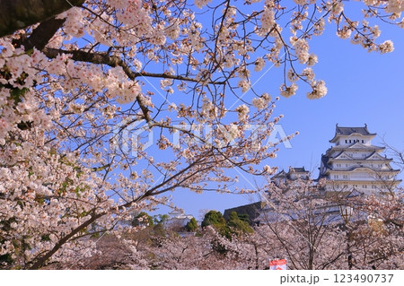 姫路城（兵庫県姫路市）満開の桜＜日本100名城＞ 123490737