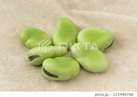 ソラマメの実 ソラマメの実 123490786
