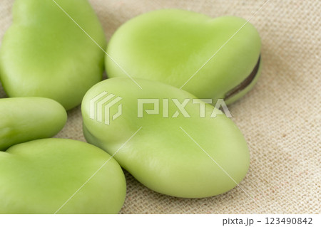 ソラマメの実のクローズアップ 123490842