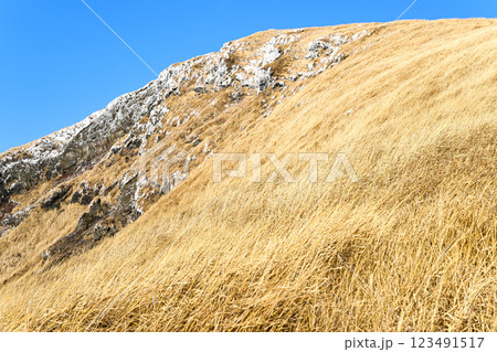 杵島岳　冬の阿蘇の風景 123491517