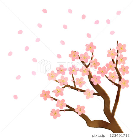 桜の枝と花びら 123491712