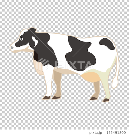 乳牛向側面看的插圖 1 剪切圖 乳牛向側面看的插圖 1 剪切圖 123491800