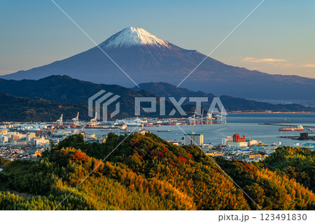 日本平から見た紅葉の山と富士山 123491830