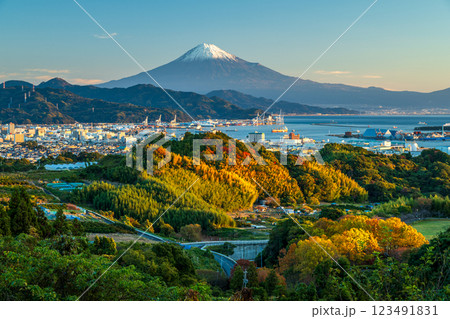 日本平から見た紅葉の里山に清水港と富士山 123491831