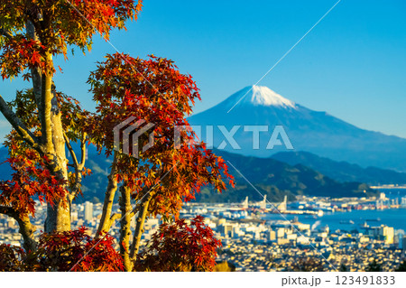 日本平の紅葉に清水港と富士山富士山 日本平の紅葉に清水港と富士山富士山 123491833