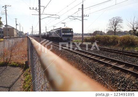 冬の埼玉県蓮田市付近を走行するEF210形電気機関車 123491895