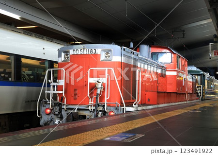 【JR西日本】DD51形（JR京都線：大阪駅） 123491922