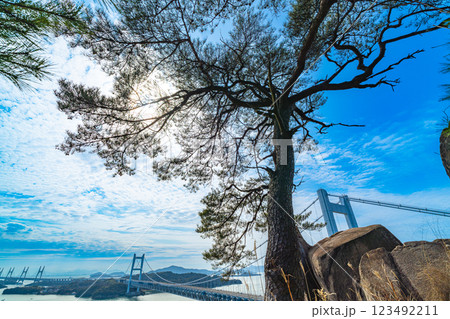 早春の穴場稲荷神社　鷲羽山の一本松と瀬戸大橋2　岡山県倉敷市 123492211