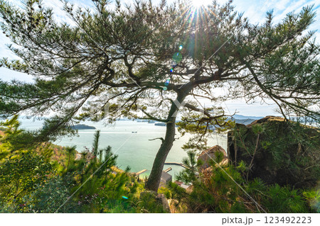 早春の穴場稲荷神社 鷲羽山の一本松と瀬戸大橋12 岡山県倉敷市 早春の穴場稲荷神社 鷲羽山の一本松と瀬戸大橋12 岡山県倉敷市 123492223
