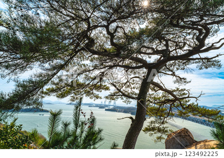 早春の穴場稲荷神社　鷲羽山の一本松と瀬戸大橋14　岡山県倉敷市 123492225