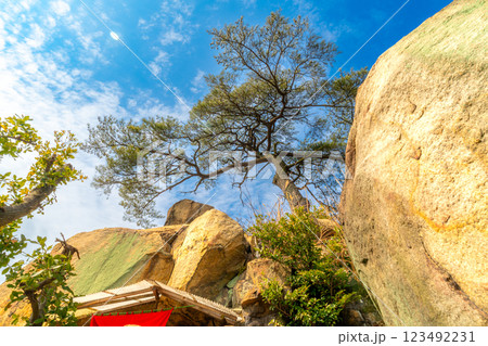 早春の穴場稲荷神社奥宮と鷲羽山の一本松3 岡山県倉敷市 早春の穴場稲荷神社奥宮と鷲羽山の一本松3 岡山県倉敷市 123492231
