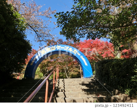 筑波山ケーブルカー-1 筑波山ケーブルカー-1 123492411