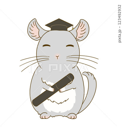 卒業式の装いをするチンチラ(グレー) 卒業式の装いをするチンチラ(グレー) 123492932