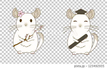 Spring chinchilla illustration set (pied) Spring chinchilla illustration set (pied) 123492935
