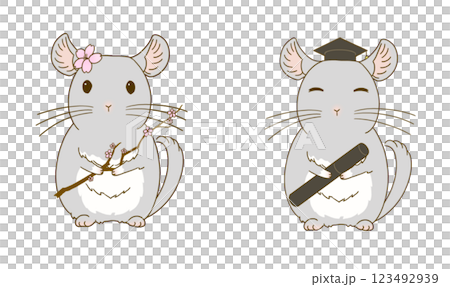Spring chinchilla illustration set (gray) 123492939