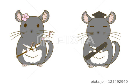 春のチンチライラストセット(ブラックベルベット) 春のチンチライラストセット(ブラックベルベット) 123492940