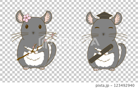 春のチンチライラストセット(ブラックベルベット) 春のチンチライラストセット(ブラックベルベット) 123492940