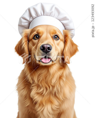 vet with red dog isolated on white 123493092