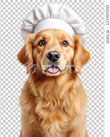 vet with red dog isolated on white 123493092