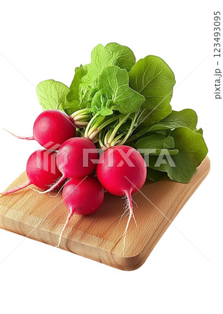 fresh radishes on wooden cutting board 123493095