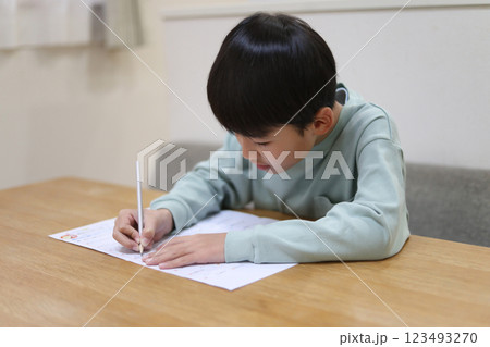 勉強する男の子 123493270