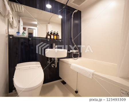 ビジネスホテルのユニットバス 123493309