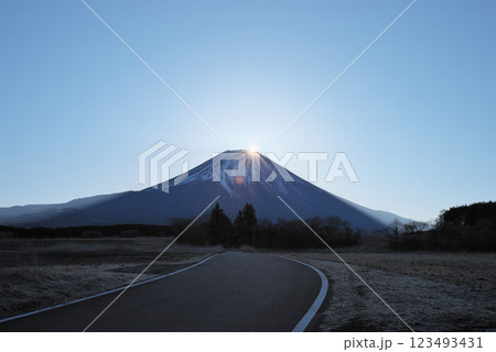 朝霧高原から見た美しいダイヤモンド富士の連続写真(7/8) 朝霧高原から見た美しいダイヤモンド富士の連続写真(7/8) 123493431