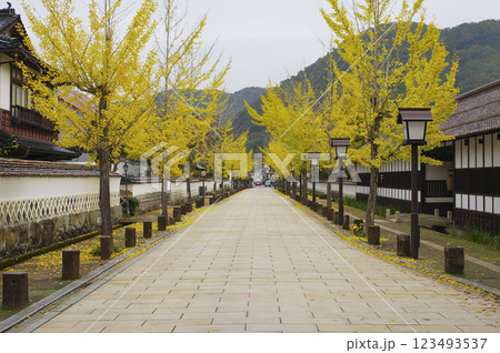 津和野町の殿町通り 津和野町の殿町通り 123493537