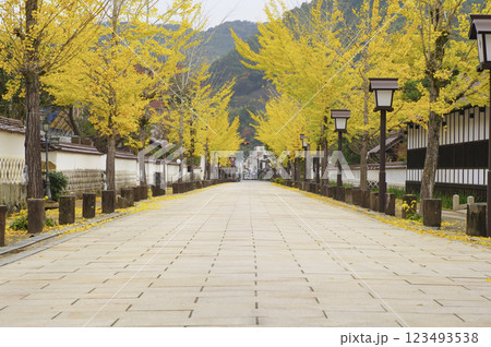 津和野町の殿町通り 津和野町の殿町通り 123493538
