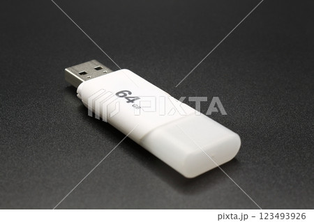 USBメモリ USBメモリ 123493926