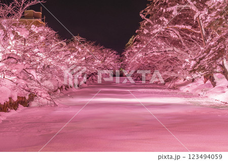 冬の弘前城、ライトアップされたお堀。日本、青森 123494059