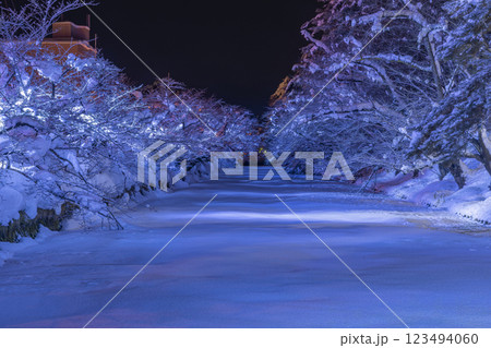 冬の弘前城、ライトアップされたお堀。日本、青森 冬の弘前城、ライトアップされたお堀。日本、青森 123494060