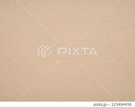 A serene beige felt canvas whispers softness, embodying a minimalist aesthetic with its subtle, warm hues 123494456