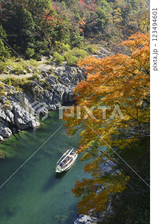紅葉の大歩危峡を下る観光遊覧船 紅葉の大歩危峡を下る観光遊覧船 123494601