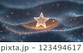 星の形をしたイルミネーション 123494617