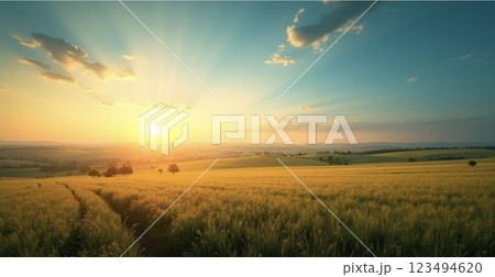夕日に染まる麦畑 123494620