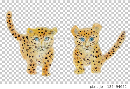 豹の子どもたち 123494622