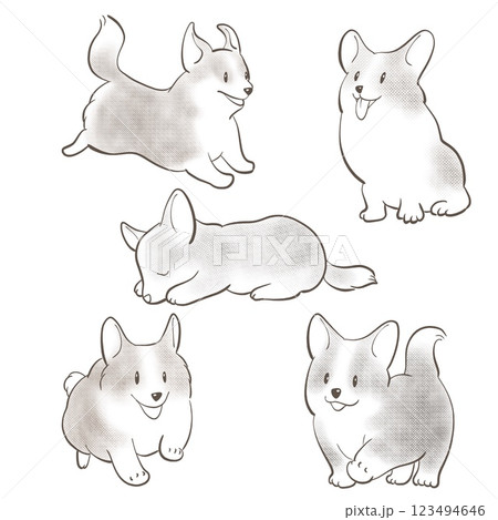 かわいいコーギーのイラストセット 123494646