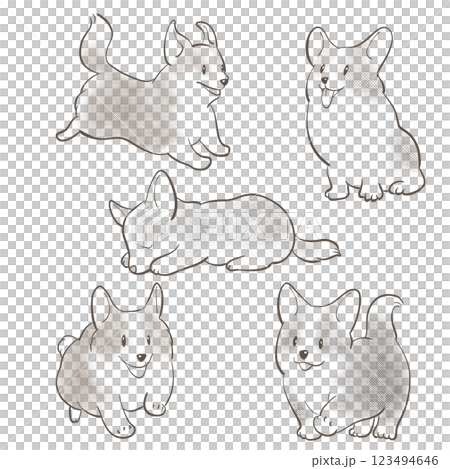 可愛的柯基犬插圖集 123494646