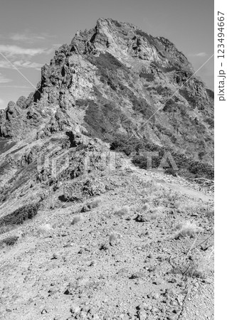 日本百名山八ヶ岳登山　地蔵の頭から見上げる横岳の三叉峰　新聞広告用 123494667