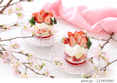 いちごのトライフル　お花見スイーツ 123495063