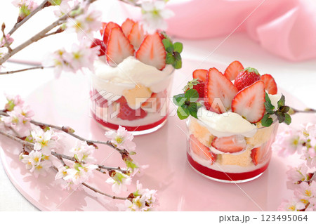 いちごのトライフル　お花見スイーツ 123495064